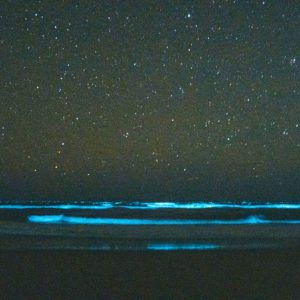The glowing sea and stars at night